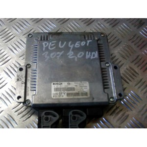 Sterownik PSA 0281011081...