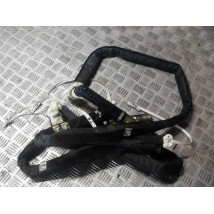 RENAULT SCENIC II KURTYNA AIRBAG LEWA/ PRAWA